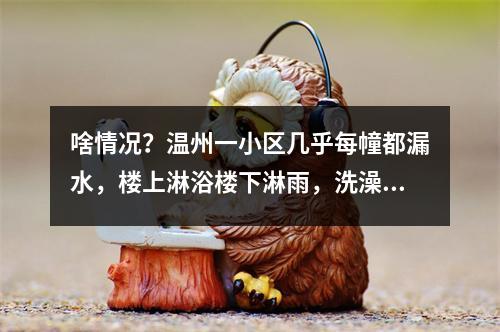 啥情况？温州一小区几乎每幢都漏水，楼上淋浴楼下淋雨，洗澡用盆做饭要蹲