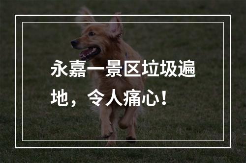 永嘉一景区垃圾遍地，令人痛心！