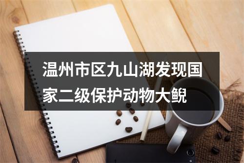 温州市区九山湖发现国家二级保护动物大鲵