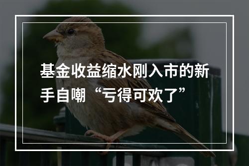 基金收益缩水刚入市的新手自嘲“亏得可欢了”