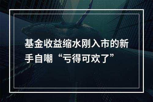 基金收益缩水刚入市的新手自嘲“亏得可欢了”