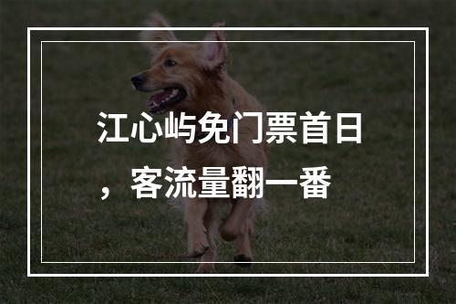 江心屿免门票首日，客流量翻一番
