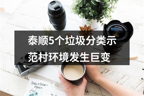 泰顺5个垃圾分类示范村环境发生巨变