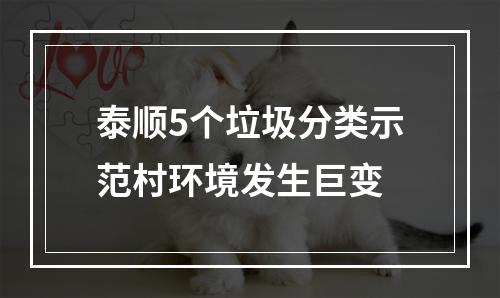 泰顺5个垃圾分类示范村环境发生巨变