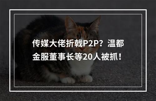 传媒大佬折戟P2P？温都金服董事长等20人被抓！