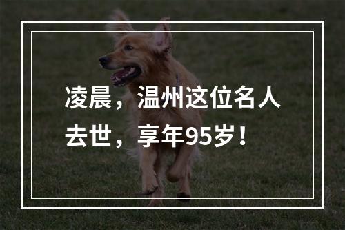 凌晨，温州这位名人去世，享年95岁！