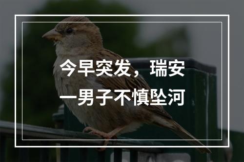 今早突发，瑞安一男子不慎坠河