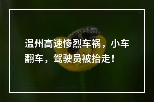 温州高速惨烈车祸，小车翻车，驾驶员被抬走！