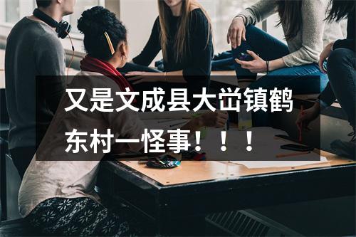 又是文成县大峃镇鹤东村一怪事！！！