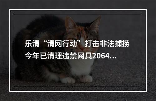 乐清“清网行动”打击非法捕捞 今年已清理违禁网具2064顶