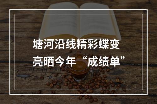 塘河沿线精彩蝶变 亮晒今年“成绩单”