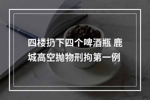 四楼扔下四个啤酒瓶 鹿城高空抛物刑拘第一例