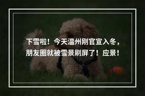下雪啦！今天温州刚官宣入冬，朋友圈就被雪景刷屏了！应景！