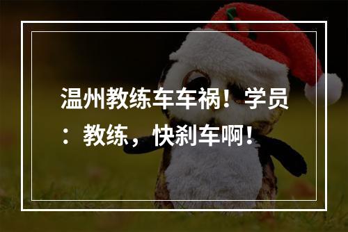 温州教练车车祸！学员：教练，快刹车啊！
