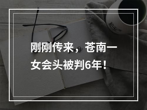 刚刚传来，苍南一女会头被判6年！