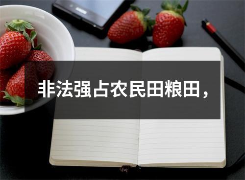 非法强占农民田粮田，