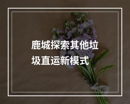 鹿城探索其他垃圾直运新模式