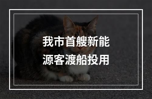 我市首艘新能源客渡船投用