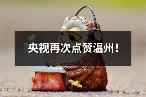 央视再次点赞温州！