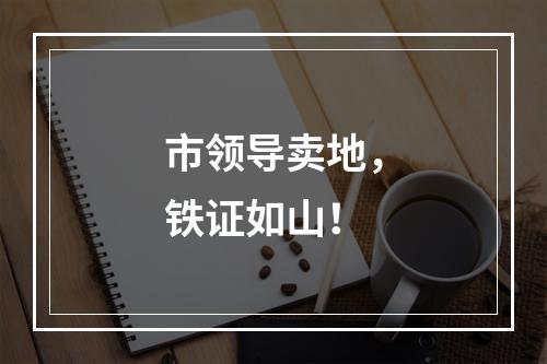 市领导卖地，铁证如山！