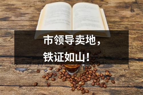 市领导卖地，铁证如山！