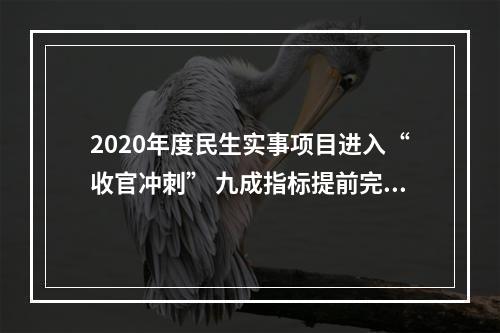 2020年度民生实事项目进入“收官冲刺” 九成指标提前完成任务