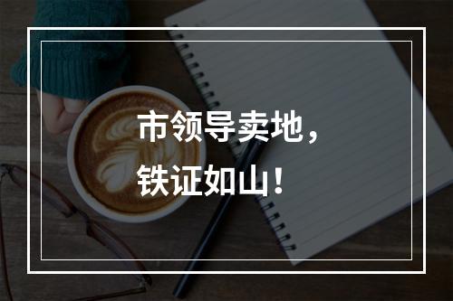市领导卖地，铁证如山！