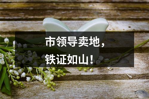 市领导卖地，铁证如山！