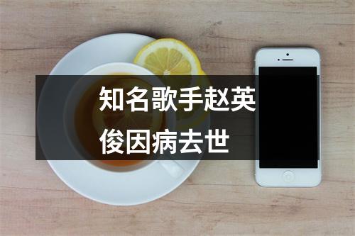 知名歌手赵英俊因病去世