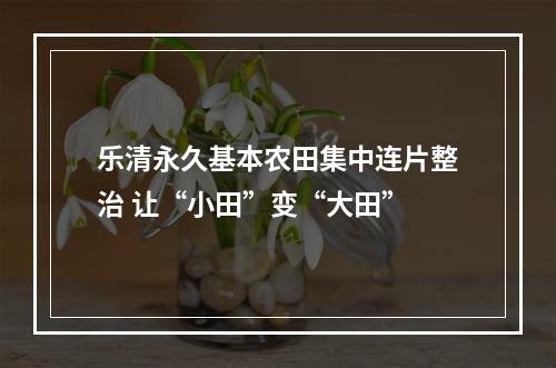 乐清永久基本农田集中连片整治 让“小田”变“大田”
