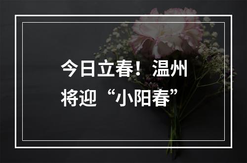 今日立春！温州将迎“小阳春”