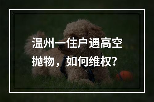 温州一住户遇高空抛物，如何维权？