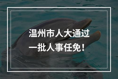 温州市人大通过一批人事任免！