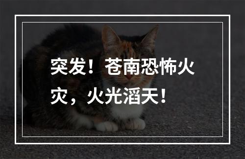 突发！苍南恐怖火灾，火光滔天！