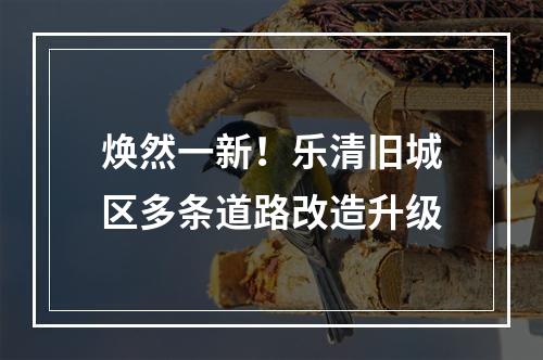 焕然一新！乐清旧城区多条道路改造升级