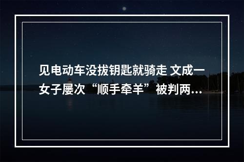 见电动车没拔钥匙就骑走 文成一女子屡次“顺手牵羊”被判两年八个月