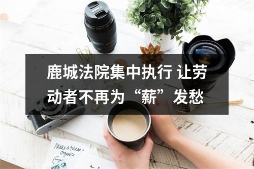 鹿城法院集中执行 让劳动者不再为“薪”发愁