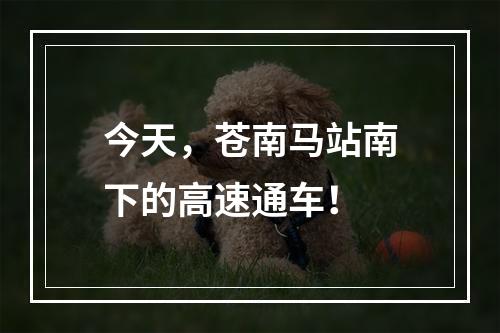 今天，苍南马站南下的高速通车！