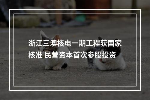 浙江三澳核电一期工程获国家核准 民营资本首次参股投资