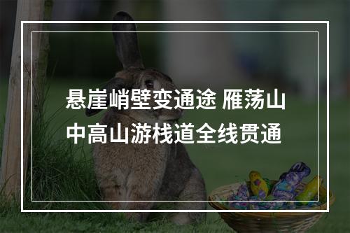 悬崖峭壁变通途 雁荡山中高山游栈道全线贯通