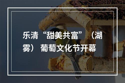 乐清“甜美共富”（湖雾） 葡萄文化节开幕