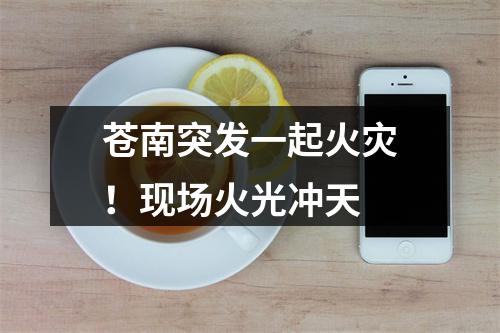 苍南突发一起火灾！现场火光冲天