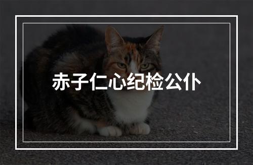 赤子仁心纪检公仆