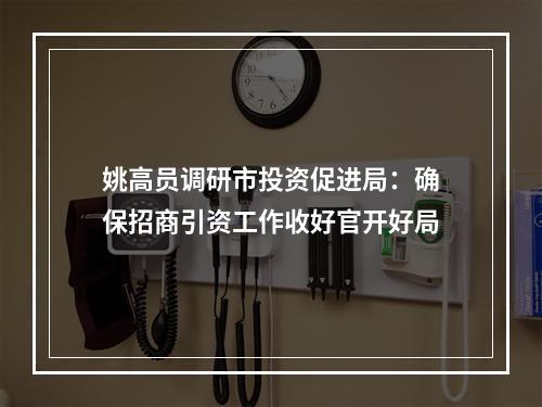 姚高员调研市投资促进局：确保招商引资工作收好官开好局