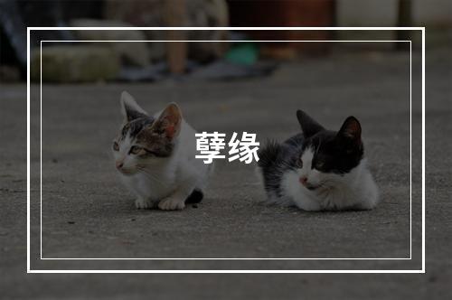孽缘