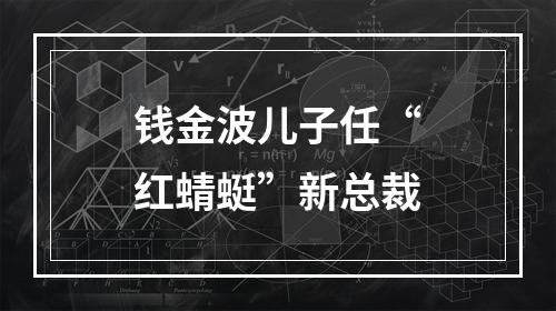 钱金波儿子任“红蜻蜓”新总裁