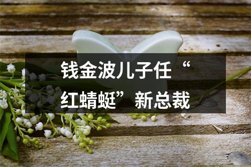 钱金波儿子任“红蜻蜓”新总裁