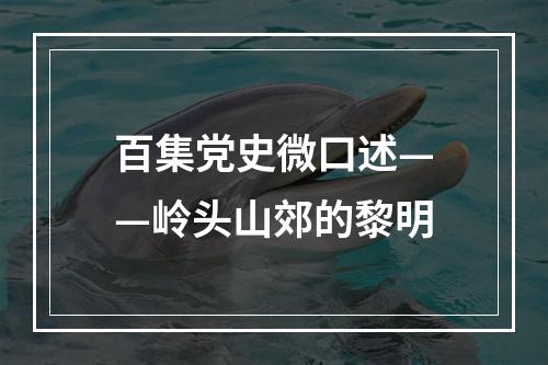 百集党史微口述——岭头山郊的黎明