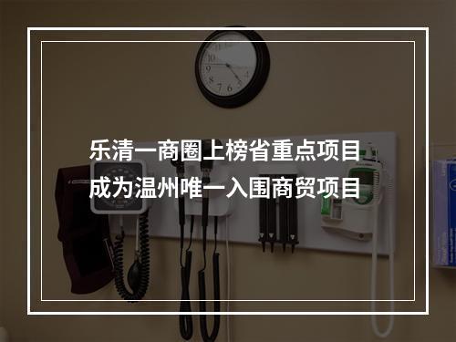 乐清一商圈上榜省重点项目 成为温州唯一入围商贸项目
