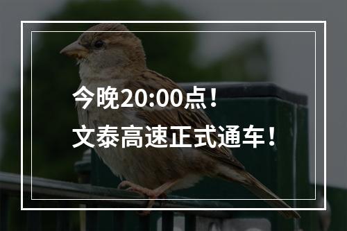 今晚20:00点！文泰高速正式通车！